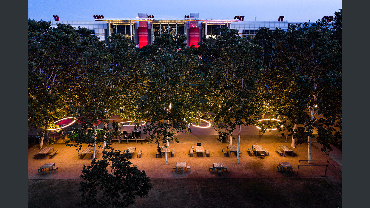 discovery green rings